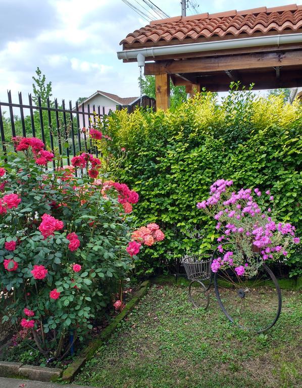 Casa Roble Anejo Bed & Breakfast Santa Cruz Εξωτερικό φωτογραφία